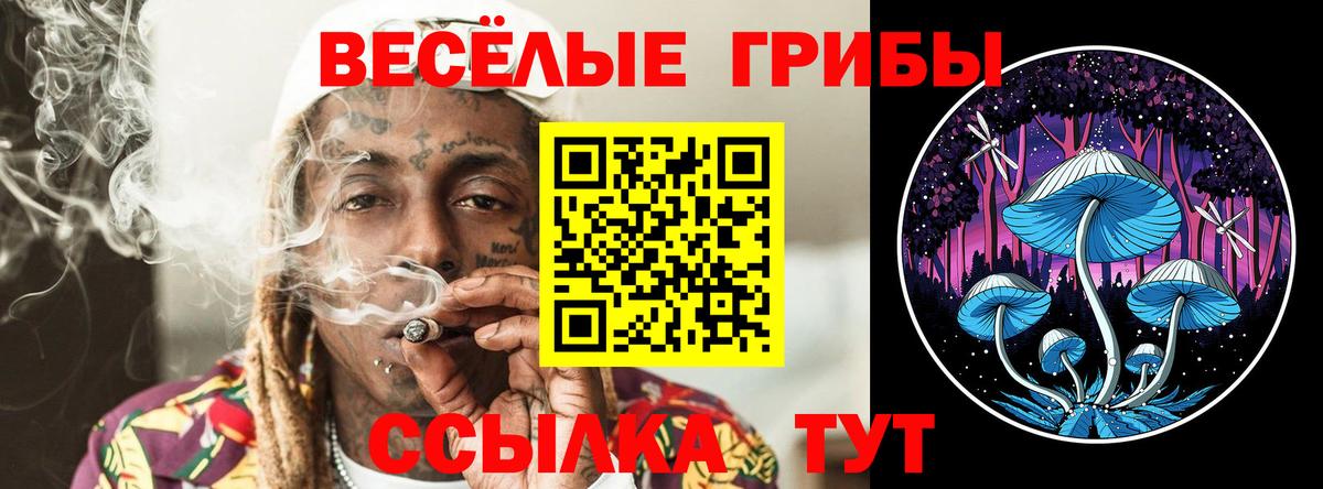 Галлюциногенные грибы MAGIC MUSHROOMS  Псилоцибиновые грибы мухоморы  Северск  Вход с VPN 